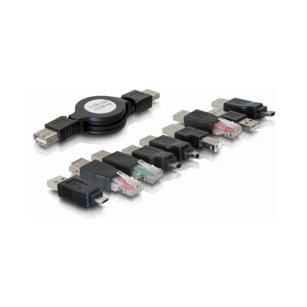 Kit d'adaptateurs USB Delock 18612 - 10 éléments avec Câble Rétractable 1,20 m - Noir
