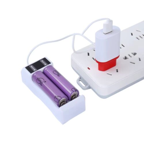 NEDIS Chargeur mural USB-A - 10,5 W / 2,1 A - Câble Micro USB inclus - Noir