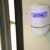 lecto Lampe Anti-Insectes Plug and Play 4W Blanc UV & Aspirateur Silencieux - 30m4 Lecto Lampe Anti-Insectes Plug and Play 4W Blanc | UV & Aspirateur Silencieux - 30m²