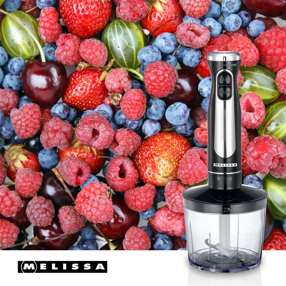 MELISSA Set Mixeur plongeur 3-en-1 - 600 W - 2 Vitesses & Variateur - Pied Inox1 MELISSA Set Mixeur plongeur 3-en-1 - 600 W - 2 Vitesses & Variateur - Pied Inox