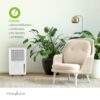 NEDIS Déshumidificateur - 10 L/Jour - Réservoir 2,1 L - Hygrostat réglable - Blanc