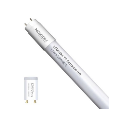 Noxion Tube LED T8 Avant Extreme (EMDirect 230V) High Output 16.5W 2650lm - 830 Blanc Chaud 150cm - Équivalent 58W Noxion Tube LED T8 Avant Extreme (EM/Direct 230V) High Output 16.5W 2650lm - 830 Blanc Chaud | 150cm - Équivalent 58W Lot de 25